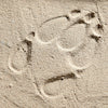 Foot Stampers Assorted Animal Track 4pk