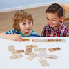 Metallic Matching Domino Set