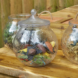 Magical Ingredients Storage Jars