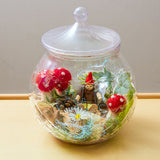 Magical Ingredients Storage Jars