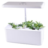 Hydroponic Smart Garden