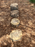 Stepping Logs set of 4 Heights 2, 3.5, 5.5 and 8"