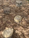 Stepping Logs set of 4 Heights 2, 3.5, 5.5 and 8"