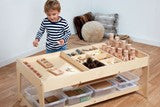 Investigative Play Table